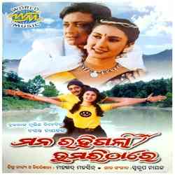 Jagata Bandini Bighna Binasini